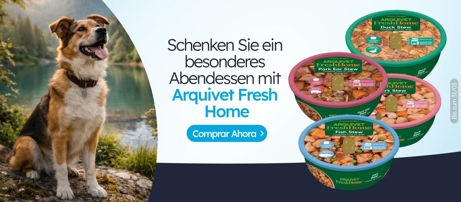 /c/arquivet-fresh-home?utm_source=home&utm_medium=banner&utm_campaign=arquivet-fresh-home&utm_conten