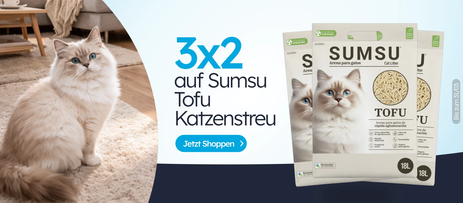 /c/sumsu-3-2?utm_source=home&utm_medium=banner&utm_campaign=sumsu-3-2&utm_content=big-banner1&utm_te