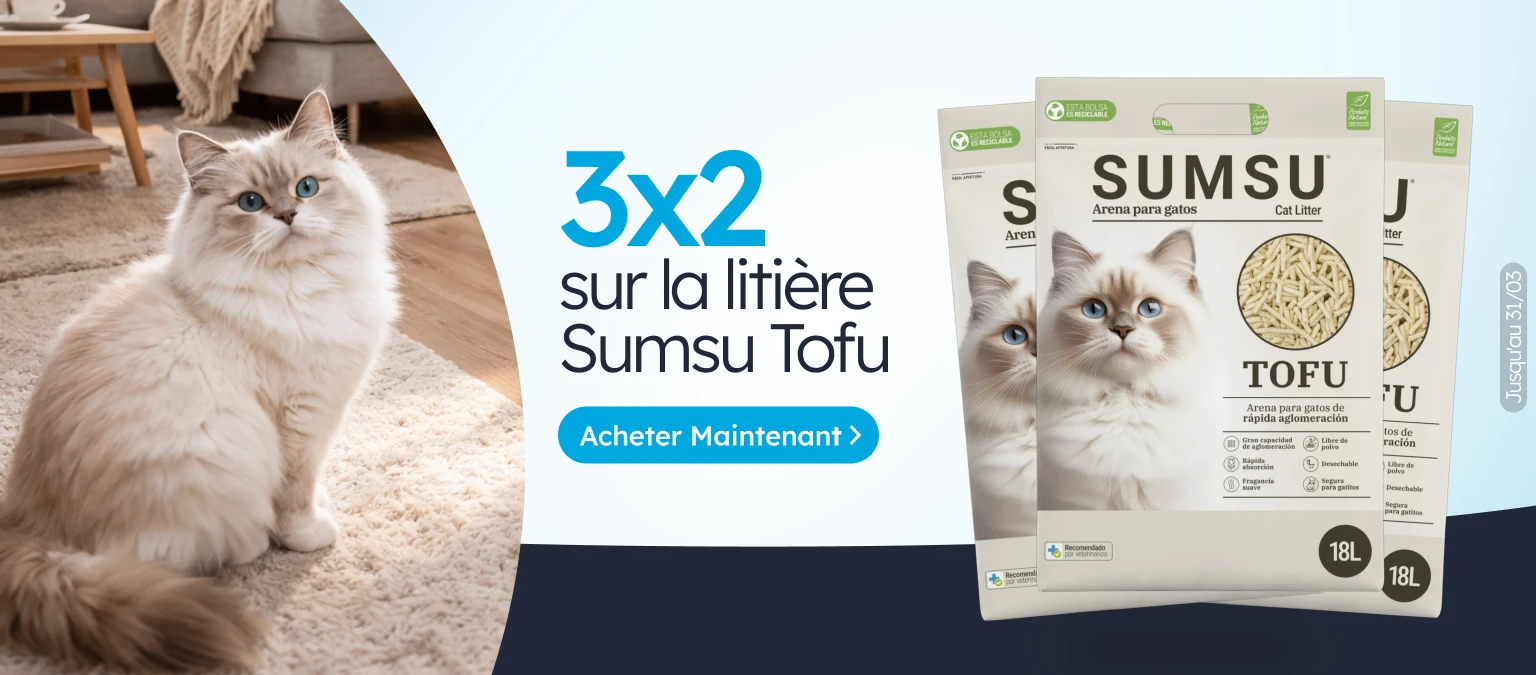 /c/sumsu-3-2?utm_source=home&utm_medium=banner&utm_campaign=sumsu-3-2&utm_content=big-banner1&utm_te