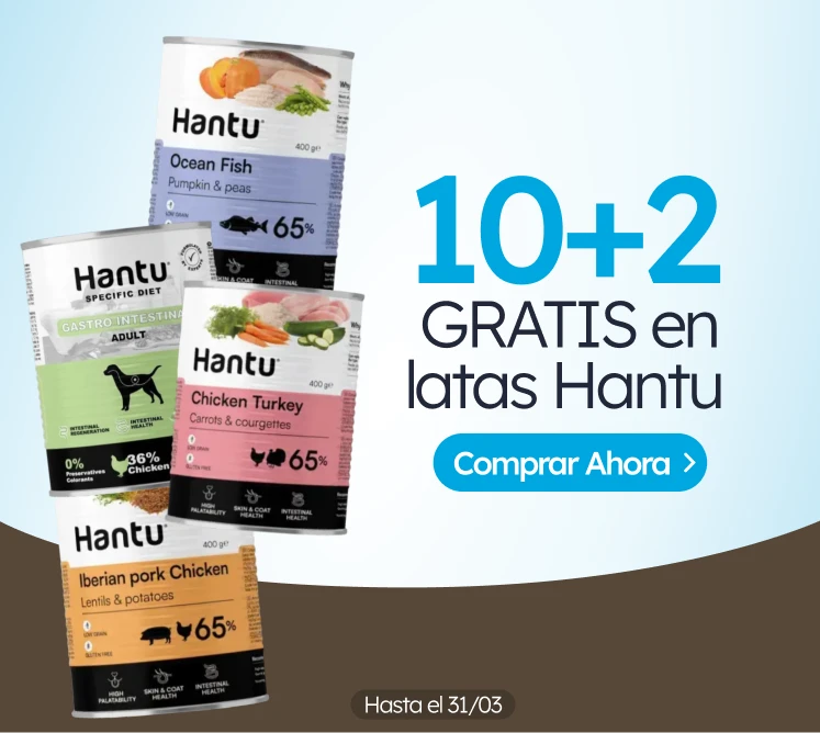 /c/hantu-10-2?utm_source=home&utm_medium=banner&utm_campaign=hantu-10-2&utm_content=medium-banner2&u