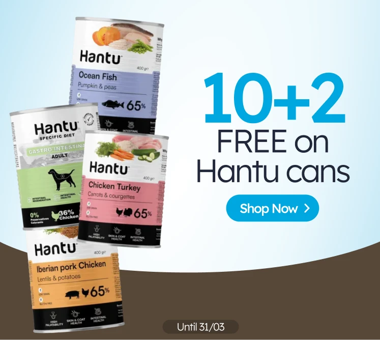 /c/hantu-10-2?utm_source=home&utm_medium=banner&utm_campaign=hantu-10-2&utm_content=medium-banner2&u