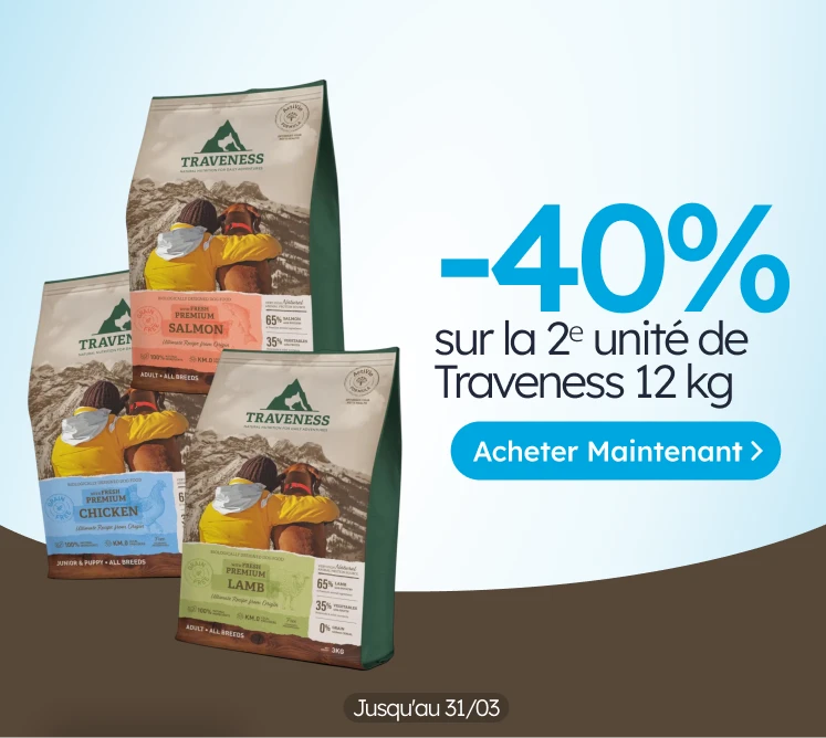 /c/traveness-2-40?utm_source=home&utm_medium=banner&utm_campaign=traveness-2-40&utm_content=medium-b