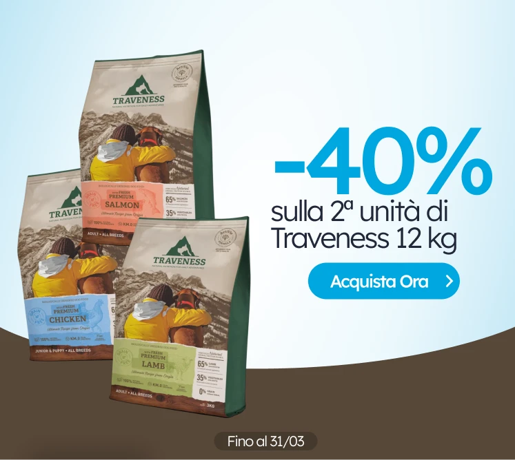 /c/traveness-2-40?utm_source=home&utm_medium=banner&utm_campaign=traveness-2-40&utm_content=medium-b