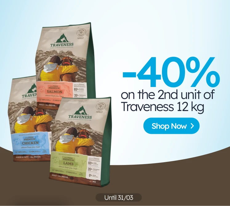 /c/traveness-2-40?utm_source=home&utm_medium=banner&utm_campaign=traveness-2-40&utm_content=medium-b