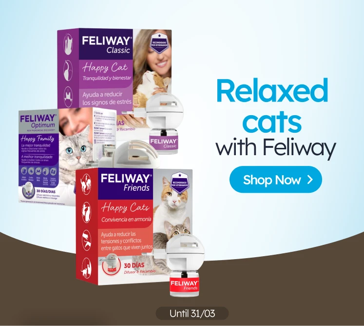 /c/feliway-5?utm_source=home&utm_medium=banner&utm_campaign=feliway-5&utm_content=medium-banner4&utm