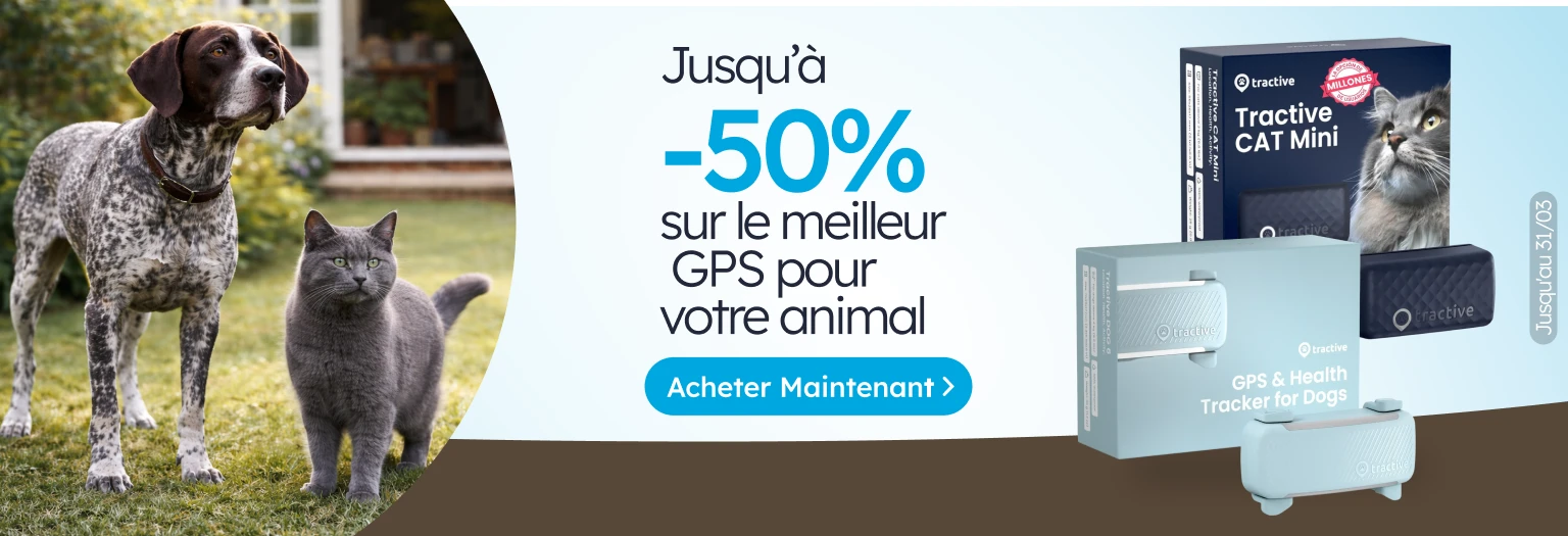 /c/tractive-50?utm_source=home&utm_medium=banner&utm_campaign=tractive-50&utm_content=hero-banner5