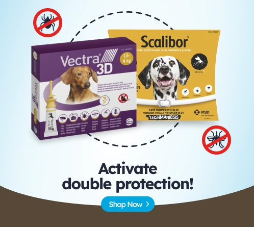 /perros/c_antiparasitarios