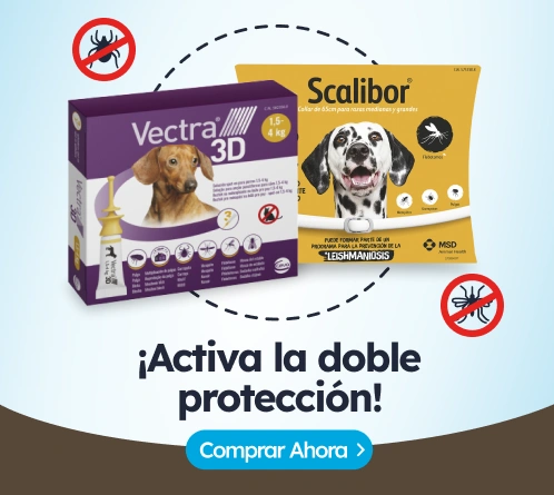 /perros/c_antiparasitarios