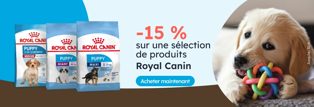 /c/royal-canin-15?utm_source=home&utm_medium=banner&utm_campaign=royal-canin-15&utm_content=hero-ban