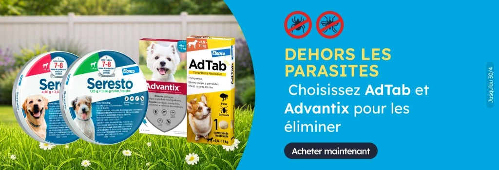 /c/elanco-adtab-advantix?utm_source=home&utm_medium=banner&utm_campaign=elanco-adtab-advantix&utm_co