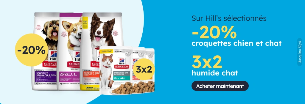 /c/hills-20-3-2?utm_source=home&utm_medium=banner&utm_campaign=hills-20-3-2&utm_content=hero-banner4