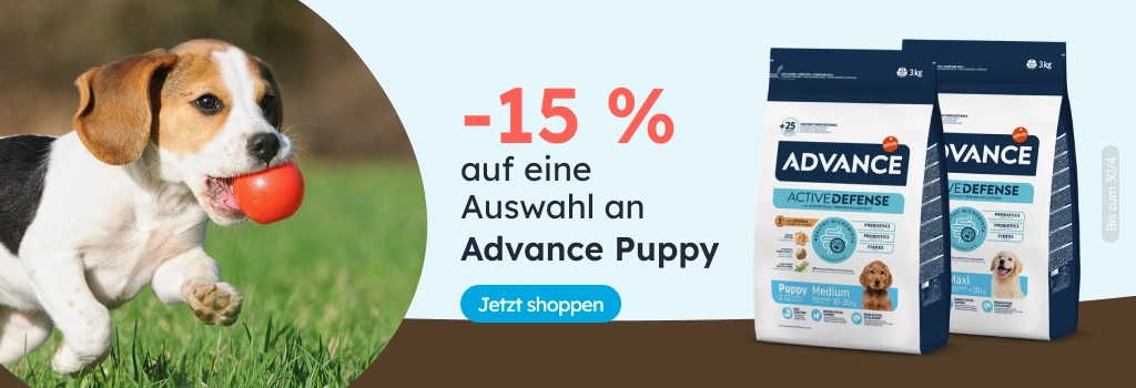 /c/advance-15?utm_source=home&utm_medium=banner&utm_campaign=advance-15&utm_content=hero-banner5