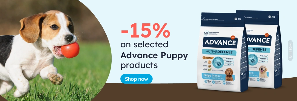 /c/advance-15?utm_source=home&utm_medium=banner&utm_campaign=advance-15&utm_content=hero-banner5