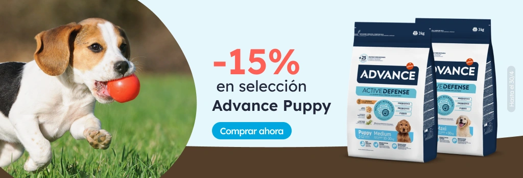 /c/advance-15?utm_source=home&utm_medium=banner&utm_campaign=advance-15&utm_content=hero-banner5