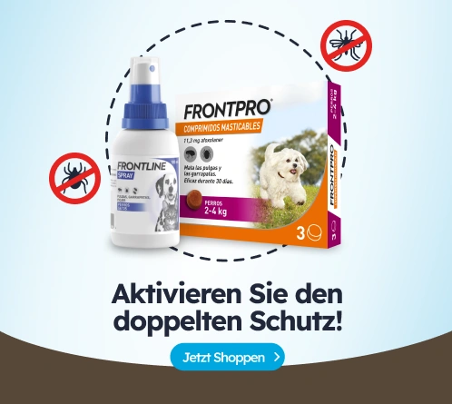 /c/antiparasitarios-comprimidos-y-sprays-de-perro?utm_source=home&utm_medium=banner&utm_campaign=ant