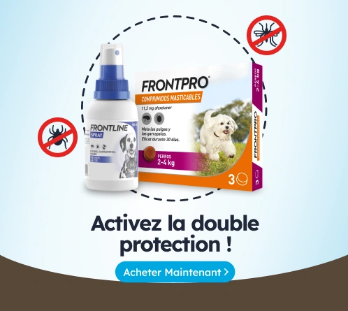 /c/antiparasitarios-comprimidos-y-sprays-de-perro?utm_source=home&utm_medium=banner&utm_campaign=ant