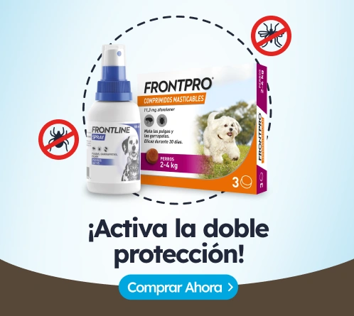 /c/antiparasitarios-comprimidos-y-sprays-de-perro?utm_source=home&utm_medium=banner&utm_campaign=ant