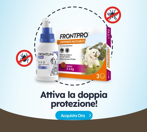 /c/antiparasitarios-comprimidos-y-sprays-de-perro?utm_source=home&utm_medium=banner&utm_campaign=ant