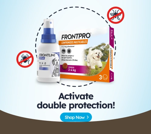 /c/antiparasitarios-comprimidos-y-sprays-de-perro?utm_source=home&utm_medium=banner&utm_campaign=ant