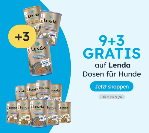 /c/lenda-9-3?utm_source=home&utm_medium=banner&utm_campaign=lenda-9-3&utm_content=medium-banner3&utm