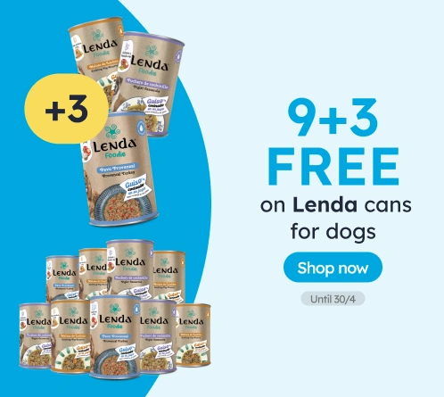 /c/lenda-9-3?utm_source=home&utm_medium=banner&utm_campaign=lenda-9-3&utm_content=medium-banner3&utm