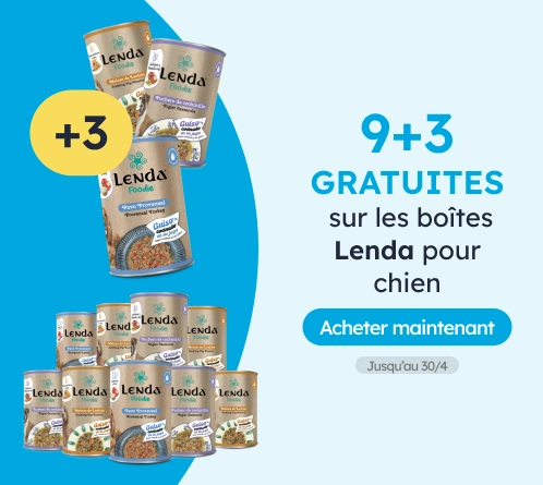 /c/lenda-9-3?utm_source=home&utm_medium=banner&utm_campaign=lenda-9-3&utm_content=medium-banner3&utm