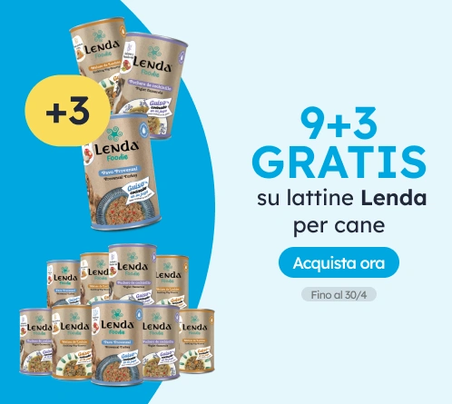 /c/lenda-9-3?utm_source=home&utm_medium=banner&utm_campaign=lenda-9-3&utm_content=medium-banner3&utm