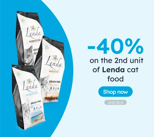 /c/lenda-2-40?utm_source=home&utm_medium=banner&utm_campaign=lenda-2-40&utm_content=medium-banner3&u