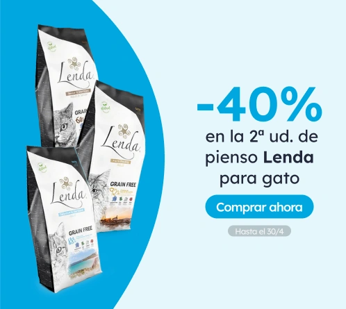 /c/lenda-2-40?utm_source=home&utm_medium=banner&utm_campaign=lenda-2-40&utm_content=medium-banner3&u