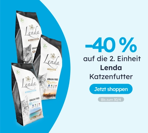 /c/lenda-2-40?utm_source=home&utm_medium=banner&utm_campaign=lenda-2-40&utm_content=medium-banner3&u