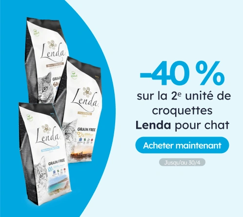 /c/lenda-2-40?utm_source=home&utm_medium=banner&utm_campaign=lenda-2-40&utm_content=medium-banner3&u