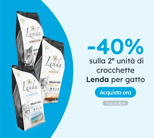 /c/lenda-2-40?utm_source=home&utm_medium=banner&utm_campaign=lenda-2-40&utm_content=medium-banner3&u