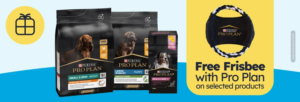 /c/gift-frisbee-proplan