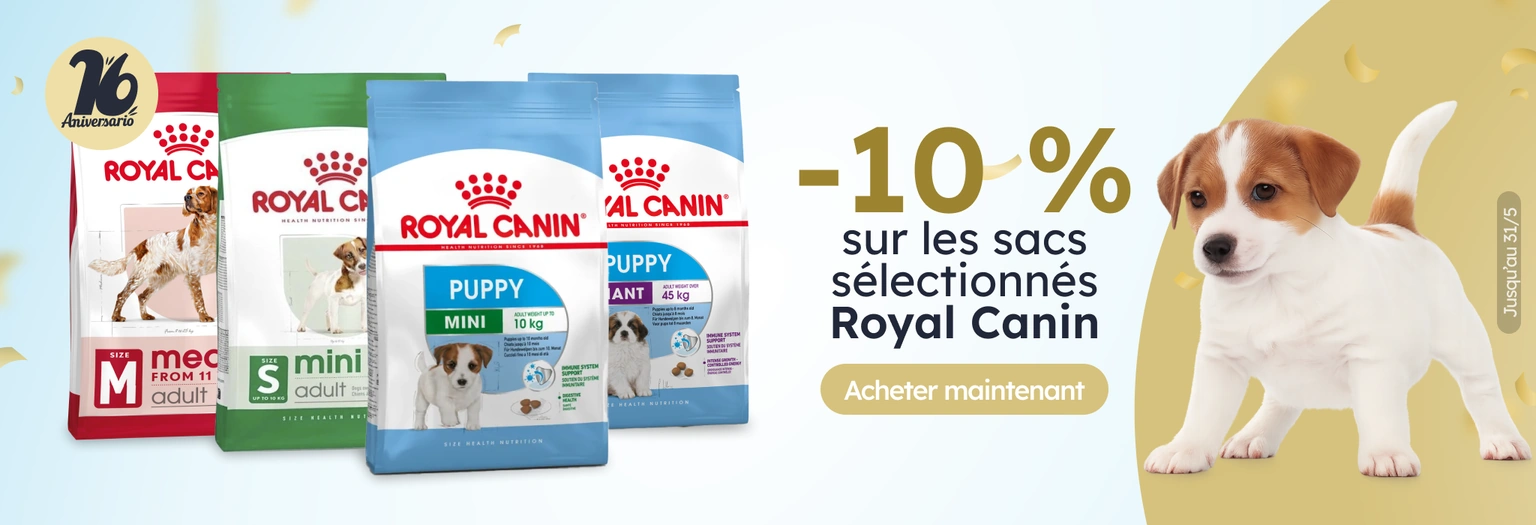 /c/royal-canin-10-piensos-seleccionados?utm_source=home&utm_medium=banner&utm_campaign=royal-canin-1