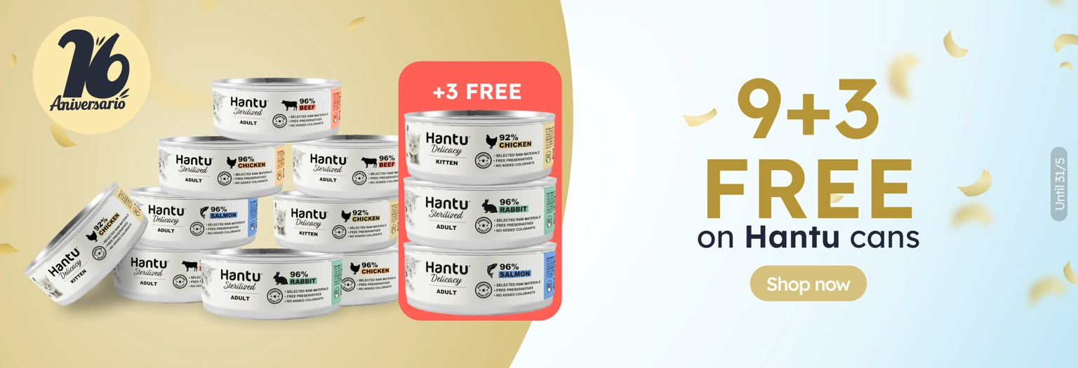 /c/hantu-9-3-latas-gato?utm_source=home&utm_medium=banner&utm_campaign=hantu-9-3-latas-gato&utm_cont