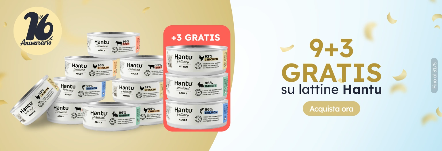 /c/hantu-9-3-latas-gato?utm_source=home&utm_medium=banner&utm_campaign=hantu-9-3-latas-gato&utm_cont