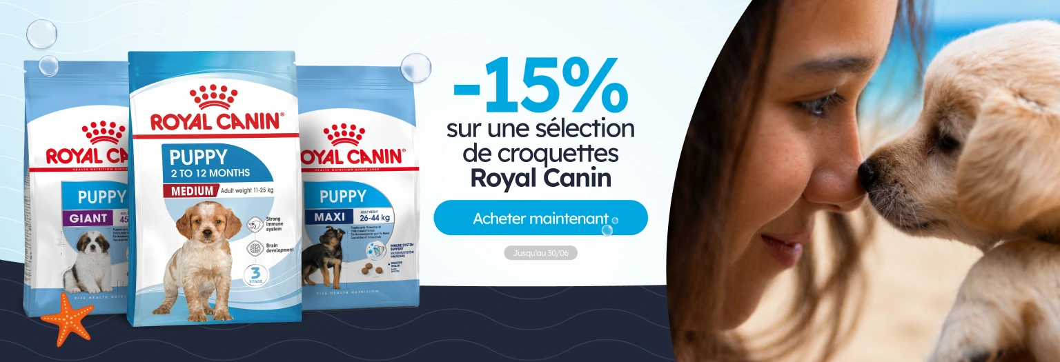 /c/junio-royal-canin-15-sacos-15-kg-perro?utm_source=home&utm_medium=banner&utm_campaign=junio-royal