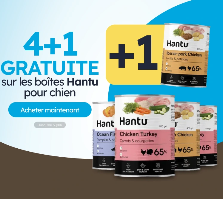 /c/junio-hantu-4-1-latas?utm_source=home&utm_medium=banner&utm_campaign=junio-hantu-4-1-latas&utm_co