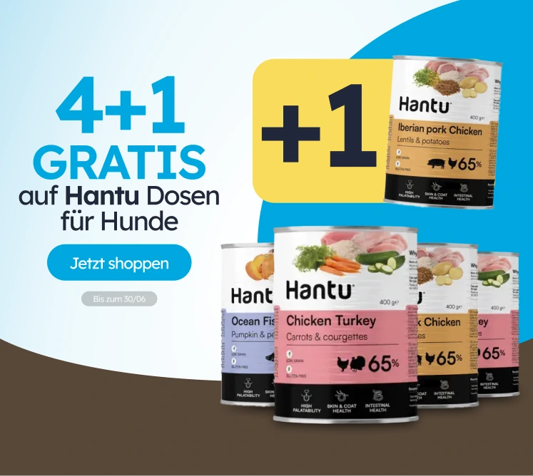 /c/junio-hantu-4-1-latas?utm_source=home&utm_medium=banner&utm_campaign=junio-hantu-4-1-latas&utm_co