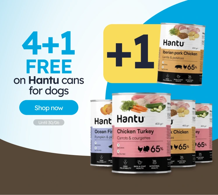 /c/junio-hantu-4-1-latas?utm_source=home&utm_medium=banner&utm_campaign=junio-hantu-4-1-latas&utm_co