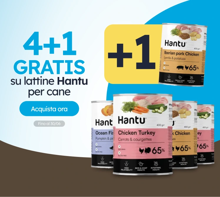 /c/junio-hantu-4-1-latas?utm_source=home&utm_medium=banner&utm_campaign=junio-hantu-4-1-latas&utm_co