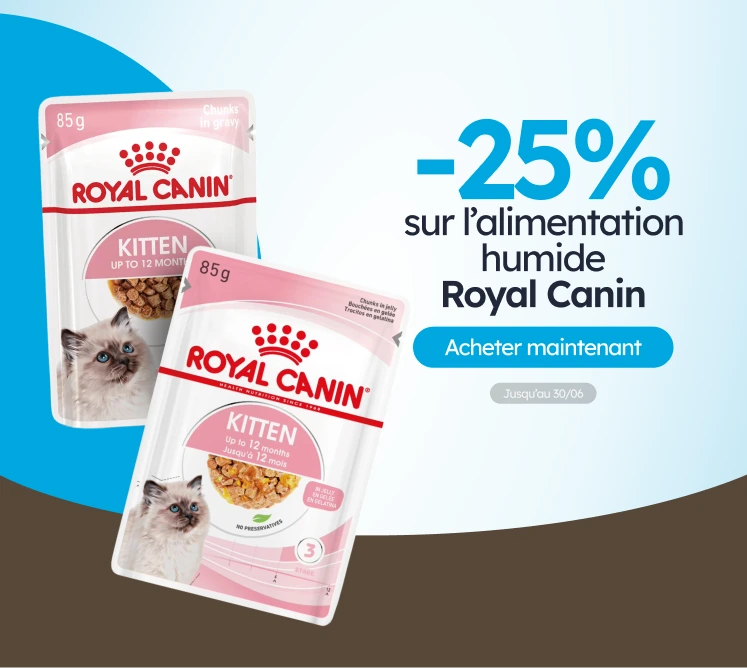 /c/junio-royal-canin-sobres-25?utm_source=home&utm_medium=banner&utm_campaign=junio-royal-canin-sobr