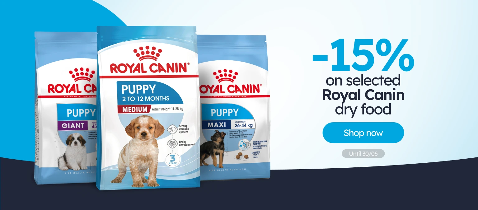 /c/junio-royal-canin-15-sacos-15-kg-perro?utm_source=home&utm_medium=banner&utm_campaign=junio-royal-canin-15-sacos-15-kg-perro&utm_content=big-banner1&utm_term=dog