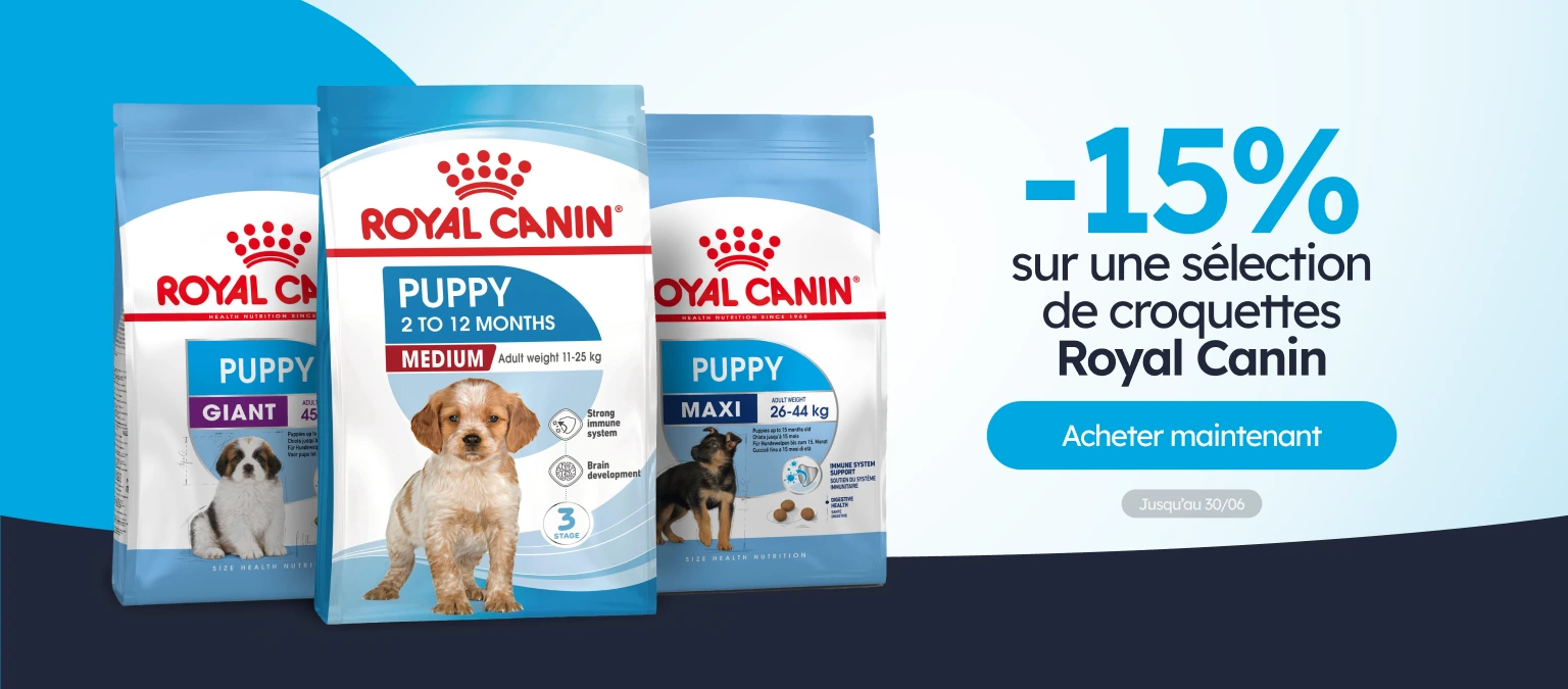 /c/junio-royal-canin-15-sacos-15-kg-perro?utm_source=home&utm_medium=banner&utm_campaign=junio-royal-canin-15-sacos-15-kg-perro&utm_content=big-banner1&utm_term=dog