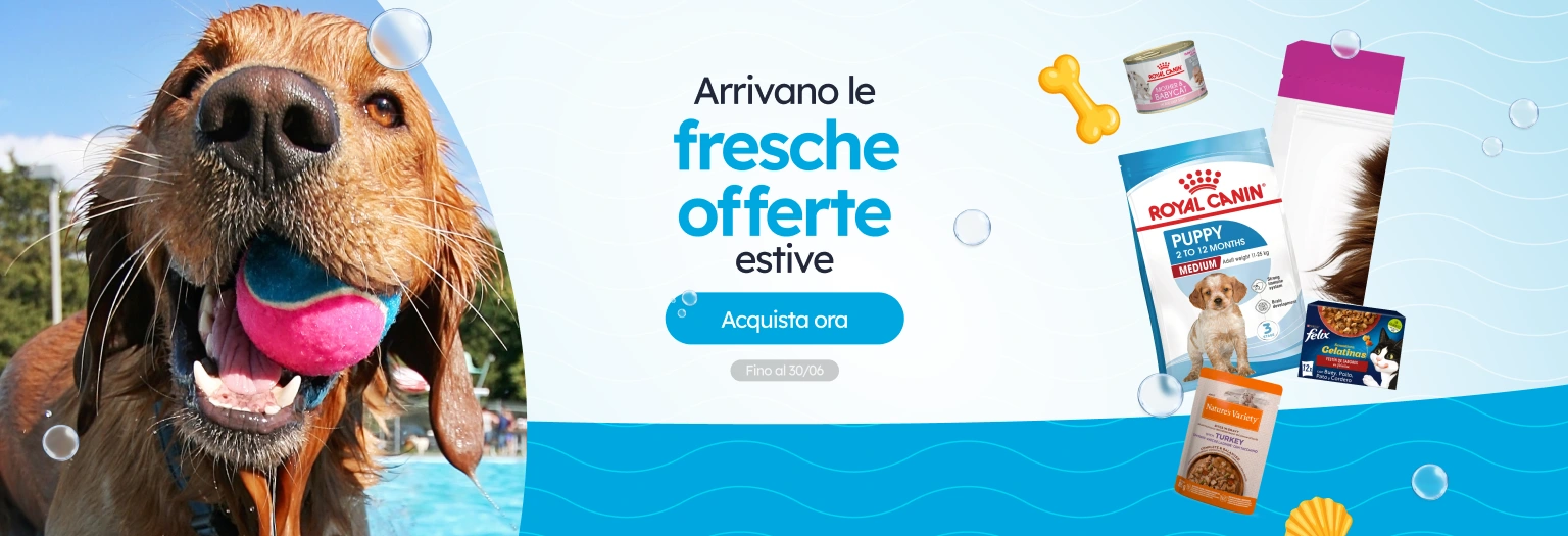 /c/junio-verano