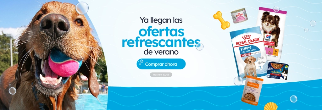 /c/junio-verano