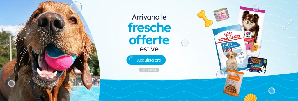 /c/junio-verano