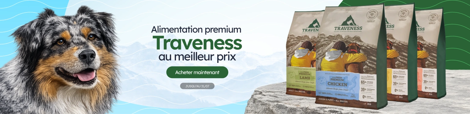 /c/jul-traveness-visibilidad-precio?utm_source=home&utm_medium=banner&utm_campaign=jul-traveness-visibilidad-precio&utm_content=low-banner1
