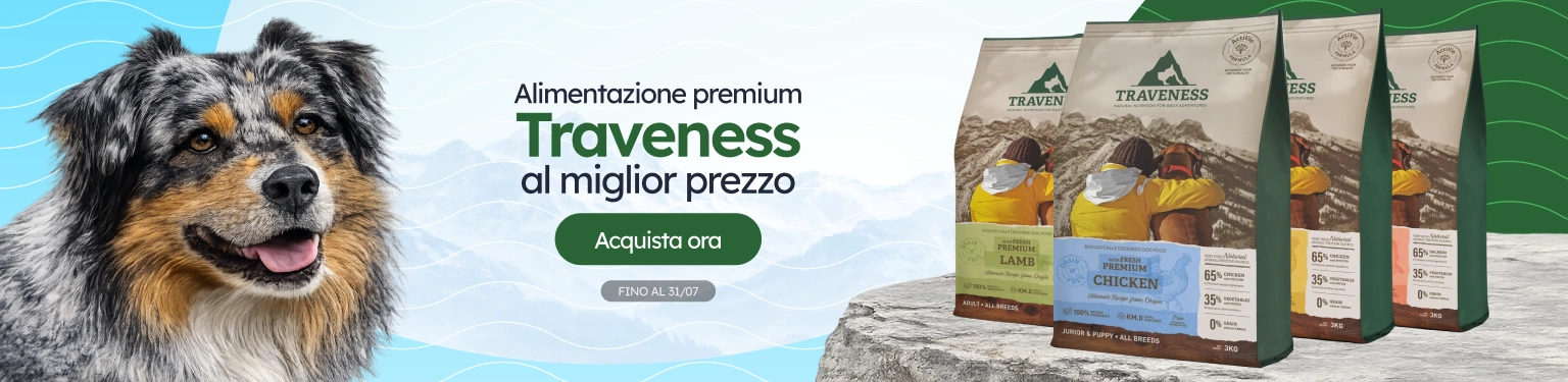 /c/jul-traveness-visibilidad-precio?utm_source=home&utm_medium=banner&utm_campaign=jul-traveness-visibilidad-precio&utm_content=low-banner1