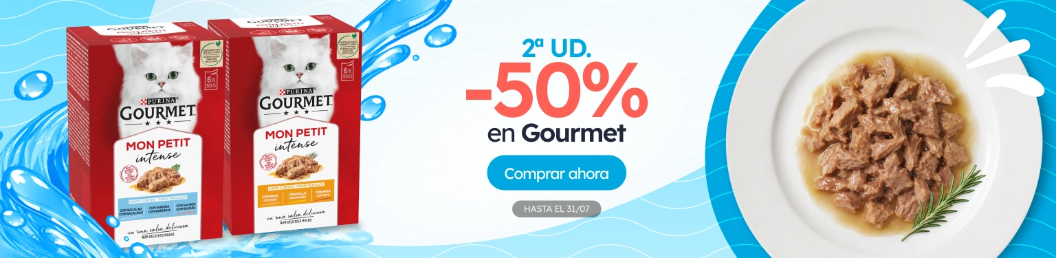/c/jul-gourmet-2ª-unidad-50?utm_source=home&utm_medium=banner&utm_campaign=jul-gourmet-2ª-unidad-50&utm_content=low-banner1&utm_term=cat